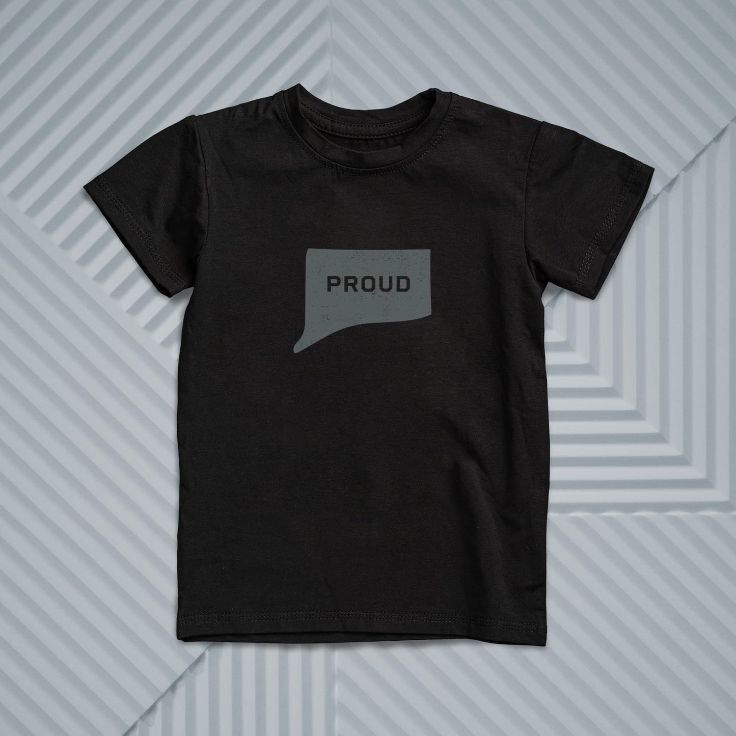 PROUD CONNECTICUTER Men's and Women's T-shirt